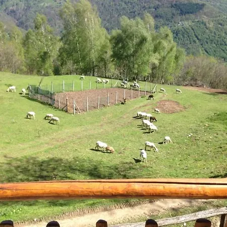 Casa vacanze Rustico Pregallo